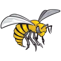 Alabama State Baseball